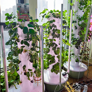 Sistema de Jardín Vertical Hidropónico de 7 Niveles <span class=keywords><strong>con</strong></span> Luces LED de <span class=keywords><strong>Cultivo</strong></span>, Kit de <span class=keywords><strong>Cultivo</strong></span> Aeropónico <span class=keywords><strong>Interior</strong></span> para Verduras, Frutas y Lechuga - Product Image 3