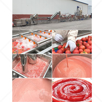 Ligne de production de ketchup de tomate à concentration entièrement automatique ORME