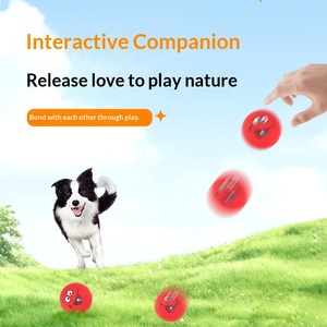 Palla Giocattolo per Cani con Suono, Giocattolo da Masticare in Gomma Resistente con Faccine Divertenti per la Dentizione dei Cuccioli, Gioco e Sollievo dall'Ansia - Product Image 4