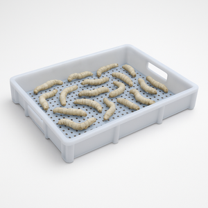 Plateau d'élevage en plastique <span class=keywords><strong>pour</strong></span> larves d'insectes et animaux <span class=keywords><strong>aquatiques</strong></span> facile à nettoyer - Product Image 1