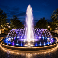 Fontaine musicale LED RGB dansante en acier inoxydable pour piscine, décoration commerciale pour jardin, place publique et hôtel