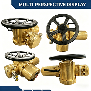 Actionneur de vanne électrique antidéflagrant Ex Iib <span class=keywords><strong>T4</strong></span> Ip67 étanche pour les emplacements industriels dangereux - Product Image 3
