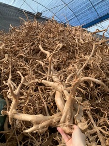 Grand bonsaï pré-bouilli bois flotté forêt tropicale humide écologique Yinuo ornements d'aquarium décor de réservoir de poissons sacs de salon - Product Image 2