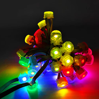 Guirlande lumineuse LED 20 mm IP67, contrôle multifonction, lumières de Noël d'extérieur pour jardin, paysage, corps en PC, corps en PC, indice de protection IP