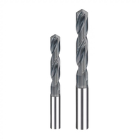 Prix usine carbure monobloc de tungstène CNC 2 cannelures 56HRC prix de foret en métal dur pour le forage de trous profonds