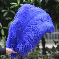 Plumes d'autruche teinte violette 28-30 pouces/70-75cm, plumes colorées, carnaval, prix de gros