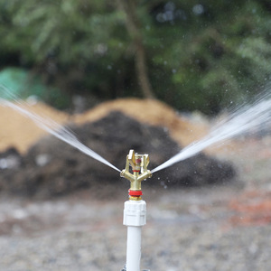 Aspersor de Brazo Oscilante de Aleación de Zinc de 4 y 6 Pulgadas con Doble Rociado Roscado para Riego Agrícola y de Jardín - Product Image 2