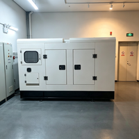 Générateur diesel portable durable 12 kW pour éclairage de cabane de trappeur isolée et charge de perceuse