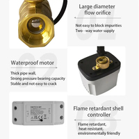 Katup Bola Listrik 2 Arah 3/4" dengan Kontrol Jarak Jauh WiFi untuk Air, Konstruksi Kuningan yang Dapat Disesuaikan OEM