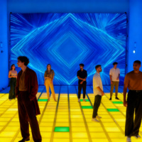 Piste de danse LED active 30x30cm pour jeux interactifs Spotlights de qualité Vloer pour hôtel