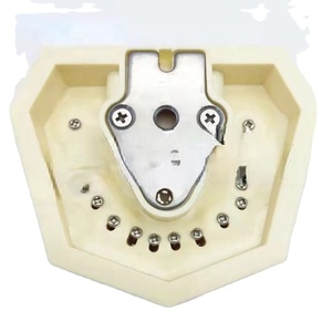 Modelo de Dientes Endodónticos Plegable de Resina ZZSU SD-5689, Tamaño Natural, para Entrenamiento Dental y Demostración de Cuidado del Paciente - Product Image 1