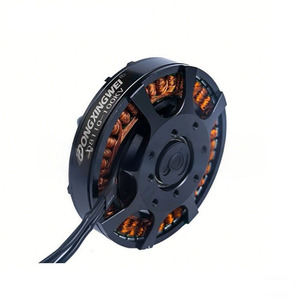Dongxingwei D8110 100Kv Brushless Motor For Multi Rotor Aircraft And Agricultural Equipment - Product Image 1
