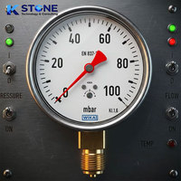 Manomètre industriel en laiton, résistant aux vibrations, rempli d'huile, 100 Mbar, pour systèmes de pompes, garantie 1 an, ODM/OEM