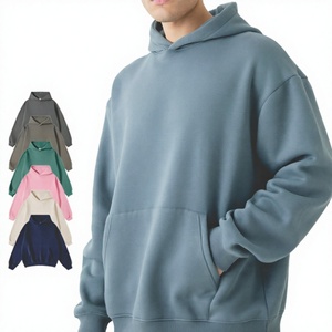 Sweat-shirt à capuche décontracté pour homme Racbo Impex, gris clair uni, brodé sur le devant, coupe oversize, manches raglan, poche kangourou - Product Image 4