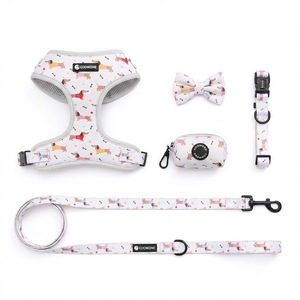 Neopren Köpek Tasması Seti Özel Baskılı Logo Ayarlanabilir Köpek Tasması ve Tasma Evcil Hayvan Tasması Üretimi - Product Image 2