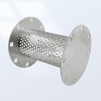 Tube filtrant perforé sur mesure en acier inoxydable, filet métallique, cylindre filtrant pour traitement de l'eau