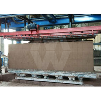 Machine à fabriquer des blocs de béton cellulaire autoclavé entièrement automatique AAC, machine de fabrication de blocs AAC