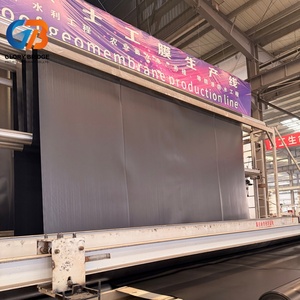 HDPE Geomembrane Eco-Friendly Durable for Coastal <strong>Dyke</strong> and Pond Waterproof Protection Liner - Product Image 1