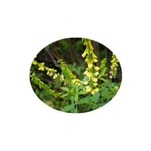 ผงสกัดจากต้นโคลเวอร์หวานสารสกัดจากดอก <span class=keywords><strong>melilotus</strong></span> <span class=keywords><strong>officinalis</strong></span> จากธรรมชาติ - Product Image 3