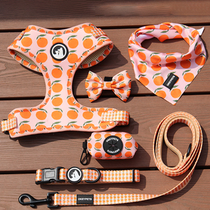 Arnés Personalizado para Perro OKEYPETS, Reflectante, Reversible, de Liberación Rápida, Acolchado, Resistente, de Neopreno y Poliéster - Product Image 5