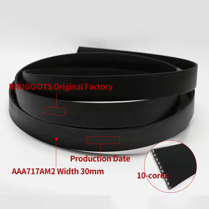 AAA717AM2/AP2/AJ2/AD1/W1/X1 <strong>Elevator</strong> <strong>Parts</strong> Lift Traction Belt Steel Belt for Ots <strong>Elevator</strong> - Product Image 2
