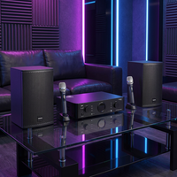 Amplificateur de puissance intégré DEKEN KA-500 II 500W avec DSP et contrôle par application, suppresseur de rétroaction pour karaoké commercial et clubs
