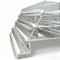 Cage à poules pondeuses de type A, cage de batterie avicole automatique avec abreuvoir à tétine galvanisé