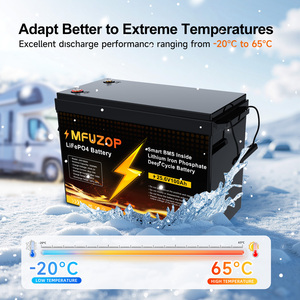 Baterai Lithium Iron PL UA STOCK NO TAX 24V 100AH, Baterai Penyimpanan Energi Surya Rumah Tangga LiFePO4 100Ah, Paket Baterai, Garansi <span class=keywords><strong>3</strong></span> Tahun - Product Image 3