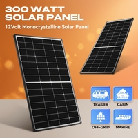 Panneau Solaire Haute Efficacité 300W 24V Module PV Anti-Âge Extérieur pour Cabane Hivernale, Équipement de Signalisation Routière, Système d'Irrigation Agricole
