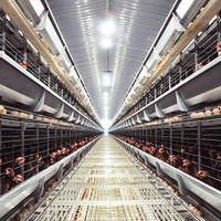Système d'élevage de poulets en batterie à 3-12 niveaux de type H entièrement automatique avec ligne d'alimentation pour l'élevage de poules pondeuses