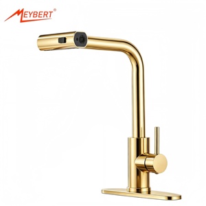 <span class=keywords><strong>Grifo</strong></span> <span class=keywords><strong>de</strong></span> <span class=keywords><strong>Cocina</strong></span> Extraíble en Acero Inoxidable 304 con Acabado Dorado Cepillado, Monomando, 360° ° <span class=keywords><strong>Grifo</strong></span> <span class=keywords><strong>de</strong></span> <span class=keywords><strong>Cocina</strong></span> con 3 Funciones Tipo Cascada - Product Image 1