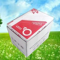 Papier copie A4 80g en Chine, ramette de papier d'impression