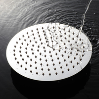Pommeau de douche circulaire de luxe en acier inoxydable SUS304 de 10 pouces pour projets