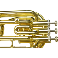 Huayun Baritone BB Marching Brass Instrument Yellow Brass Body Gold Lacquer Finish 3 Piston Valves Lightweight Durable Portable