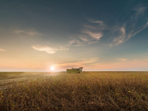 Famous Brand Combine Harvester RG25 4LZ -2.5 G New RG25 for Sale - Product Image 6