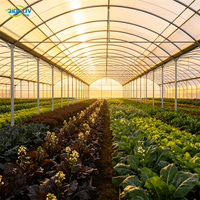 Kit de montage facile pour serre tunnel agricole portable, taille personnalisable pour la culture de légumes dans le jardin