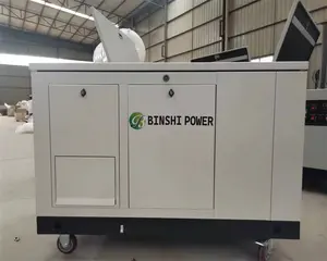 Wassergekühlter 15 kW 20 kW 30 kW EPA Traktor Versorgungsgasgenerator leis einzeln 3-Phasen Wohnwagen Doppelbrennstoff LPG-NG-Benzingeneratoren