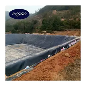 0.35mm 0.5mm 0.75mm 1.5mm 2mm Impervious Smooth Waterproof Plastic Dam Liner HDPE Geomembrane Pond Liner