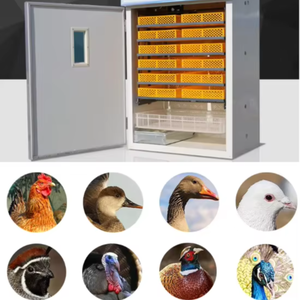 Nueva Incubadora Automática de Plástico para Huevos de Gallina, Avestruz, Pato, Pavo, Emú y Ganso - Tamaño Pequeño, Capacidad para 1056 Huevos, 98% de Tasa de Incubación - Product Image 2