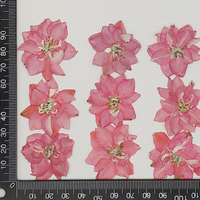 12 Pezzi/Sacchetto Fiori di Delphinium Pressati per Candele e Saponi Fai-da-Te, Fiori Naturali Essiccati Ecologici