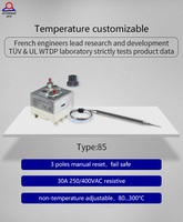 Thermostat intelligent à expansion liquide 90, réinitialisation manuelle, limiteur de température, protection contre les hautes températures, 30A 110, domotique