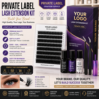 Kit Completo de Extensiones de Pestañas 5D W de Marca Privada, Adhesivo, Sellador, Removedor, Pinzas, Pelo Sintético Hecho a Mano, Libre de Crueldad Animal, para Marcas de Belleza
