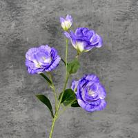 Vente en gros de fleurs artificielles violettes 4 têtes gentiane des Prairies Lisianthus Arrangement en arc de mariage longue tige soie de style occidental