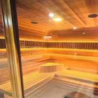 Bain à remous hybride de massage, salle de bain à glace, sauna infrarouge extérieur noir avec personnalisation du pont