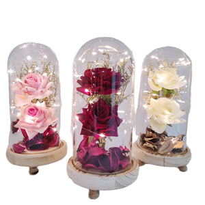 Roses éternelles préservées en verre à <span class=keywords><strong>prix</strong></span> d'usine pour la Fête des Pères - Durée de vie de 3 à 5 ans - Product Image 1