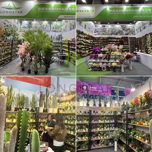 Plantes artificielles en pot de cactus résistantes aux intempéries, fourniture directe d'usine fiable, pour la <span class=keywords><strong>décoration</strong></span> intérieure et de <span class=keywords><strong>balcon</strong></span> - Product Image 6
