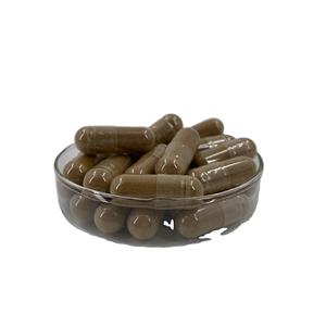 Capsules de Ganoderma Lucidum Supplément OEM Capsules d'extrait de Ganoderma Lucidum - Product Image 1