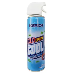 Vente en gros d'autres produits d'entretien automobile Nouveaux produits Gel rapide Spray de refroidissement de glace froide pour voiture