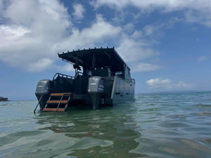 Yacht de luxe <span class=keywords><strong>10m</strong></span> 36ft aluminium soudé Catamaran cabine Cruiser passager pêche Sport bateau pour la plongée et la location - Product Image 5