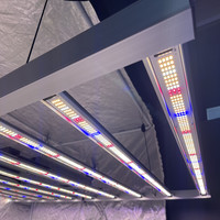 Stok murah lampu tumbuh Led spektrum penuh Plus lampu tumbuh Led komersial 1000W dengan Led UV dan IR